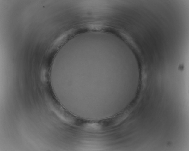 X0000115200161200911251451