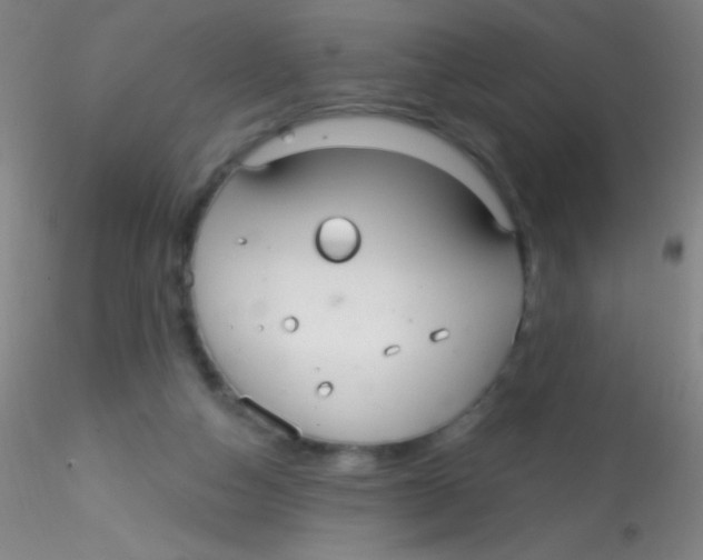 X0000115200162200911251451