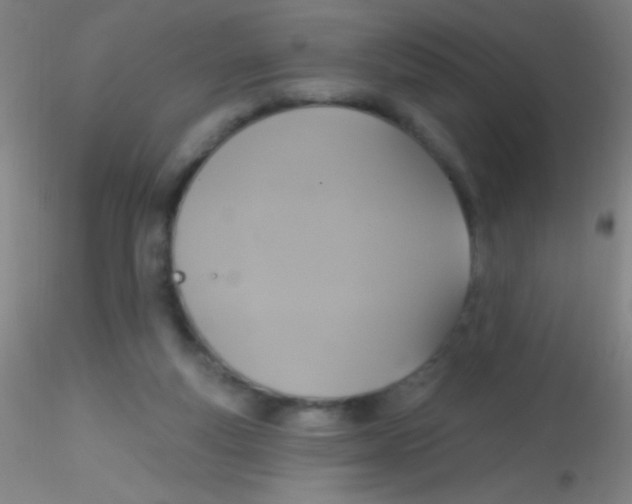 X0000115200163200911251451
