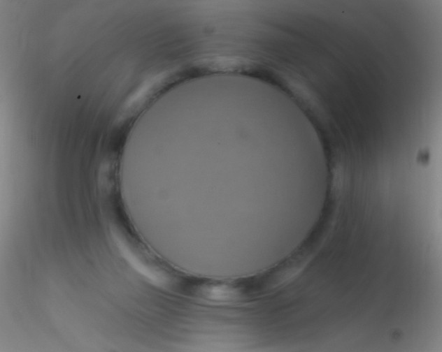 X0000115200165200911251452