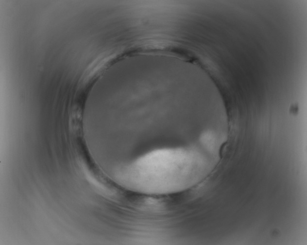 X0000115200166200911251452