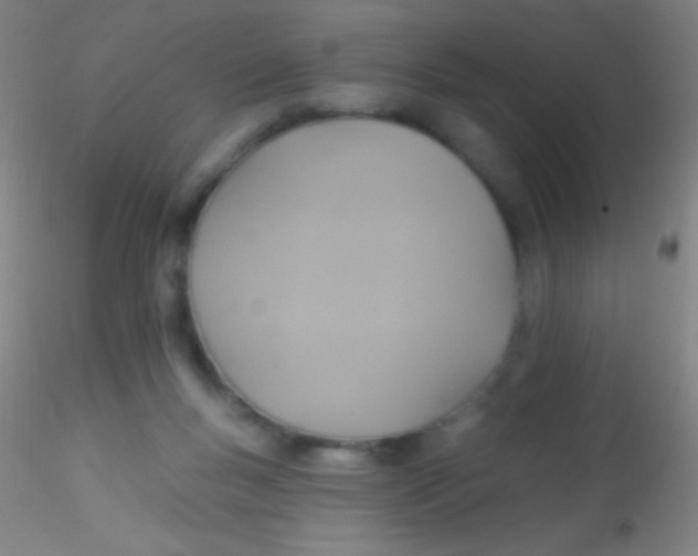 X0000115200167200911251452