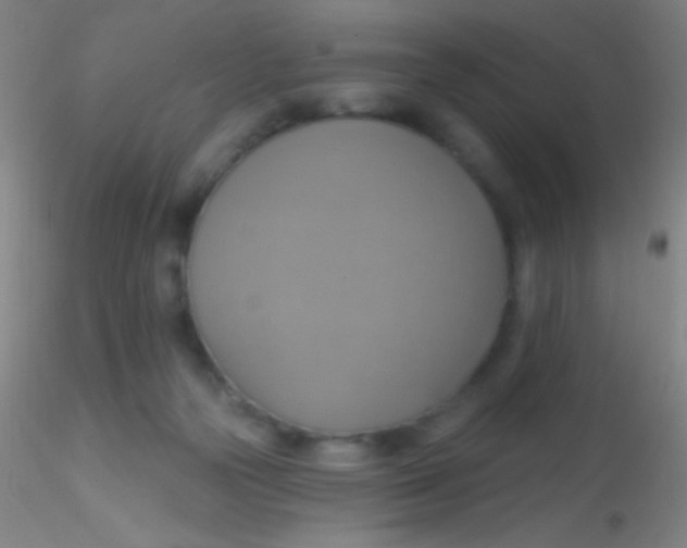 X0000115200169200911251452