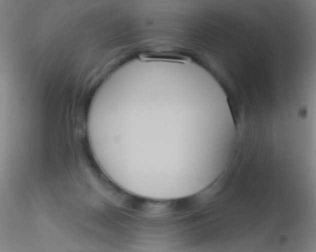 X0000115200170200911251452