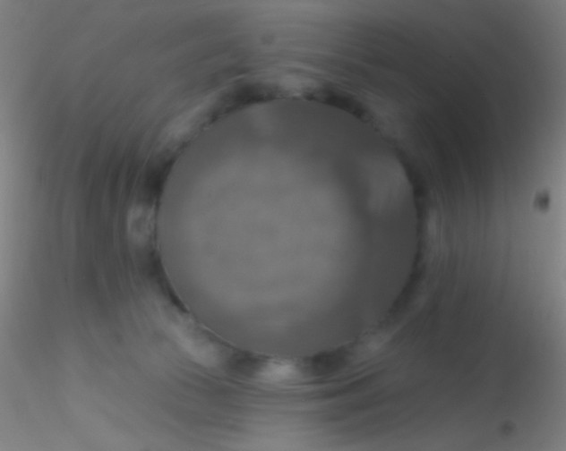 X0000115200177200911251452