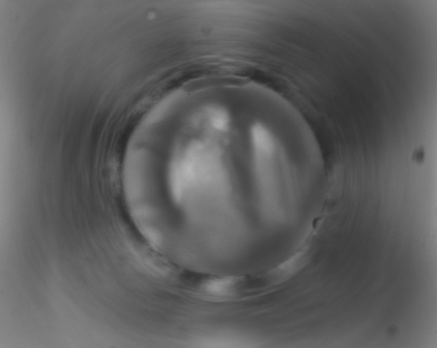 X0000115200178200911251452