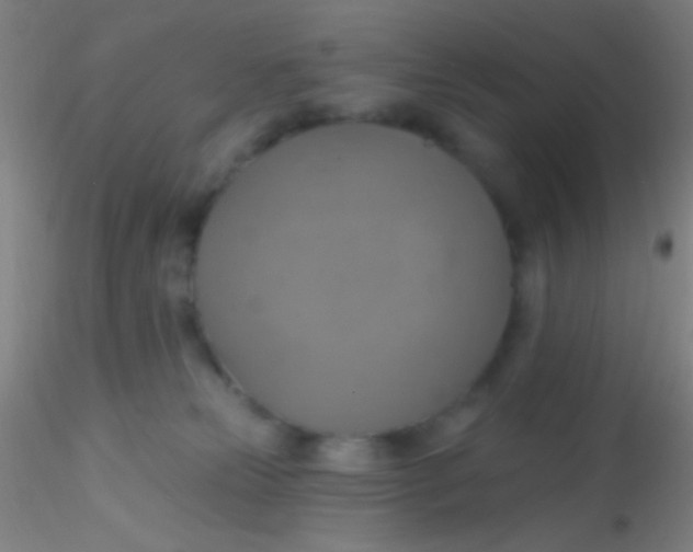 X0000115200181200911251452