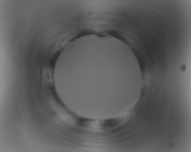 X0000115200182200911251452