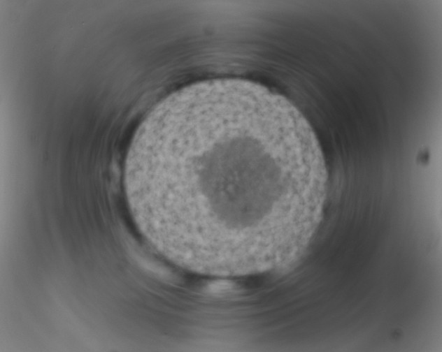 X0000115200183200911251452