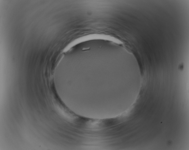 X0000115200186200911251452