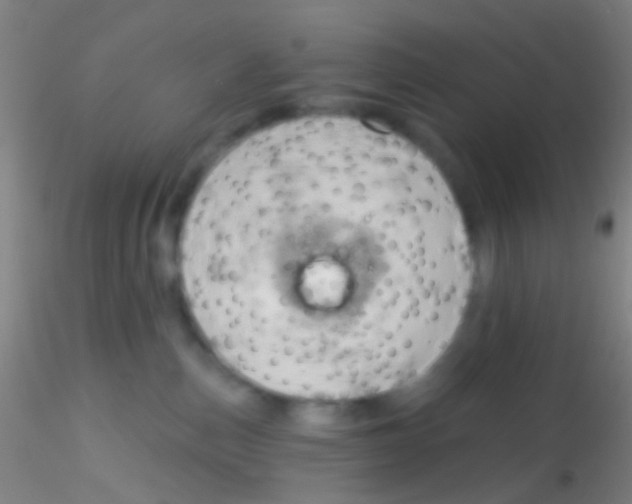 X0000115200187200911251452
