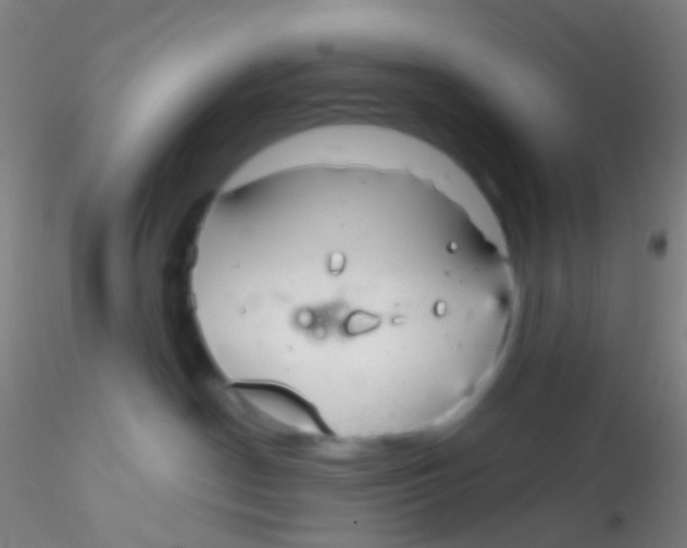 X0000115200190200911251452