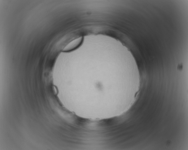 X0000115200191200911251452