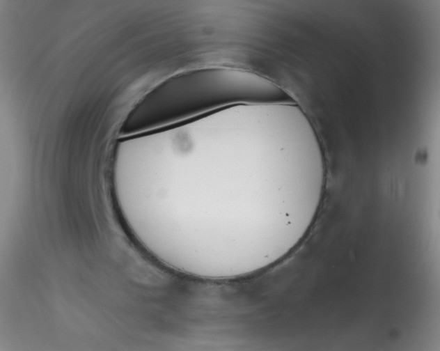 X0000115200193200911251451