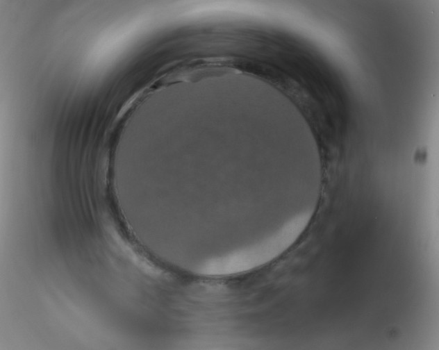 X0000115200194200911251451
