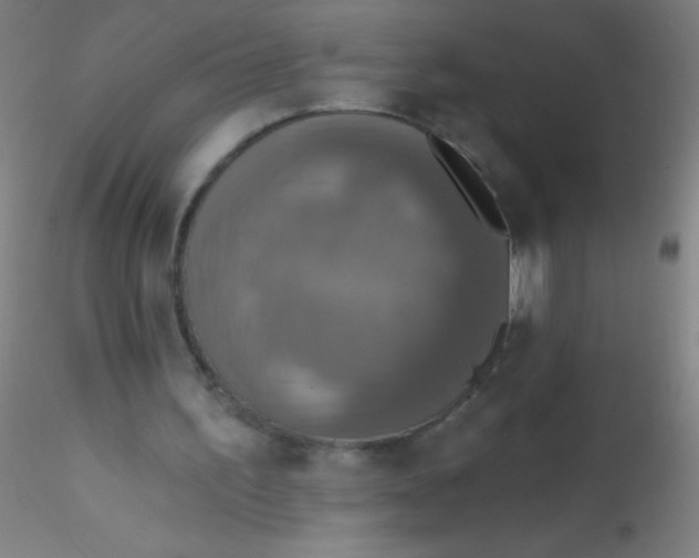 X0000115200195200911251451