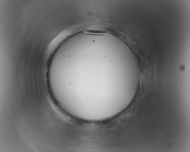 X0000115200197200911251451