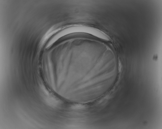 X0000115200198200911251451
