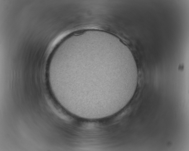 X0000115200200200911251451