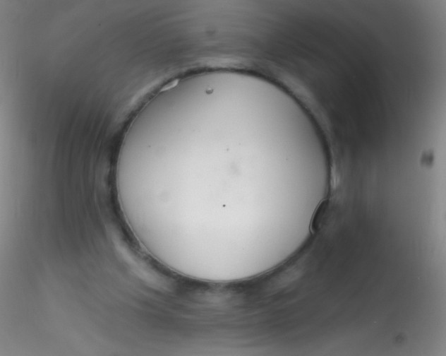 X0000115200201200911251451