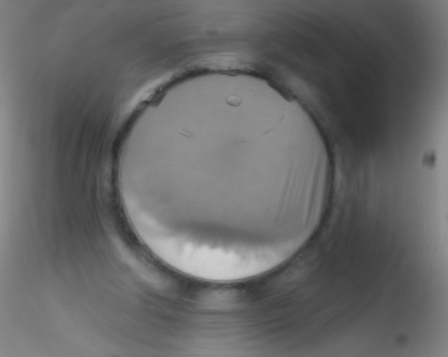 X0000115200202200911251451