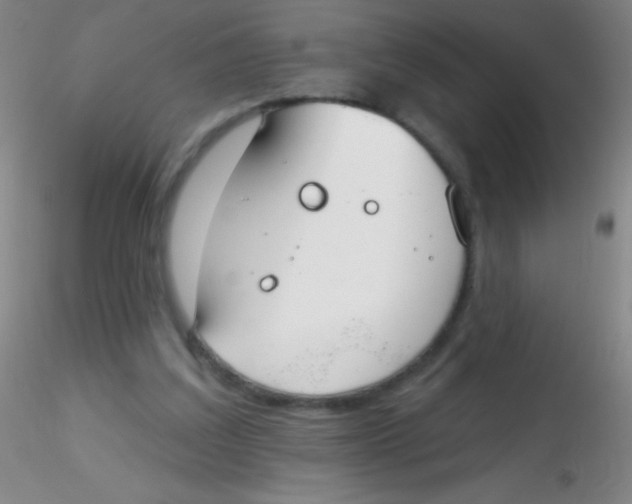 X0000115200203200911251451