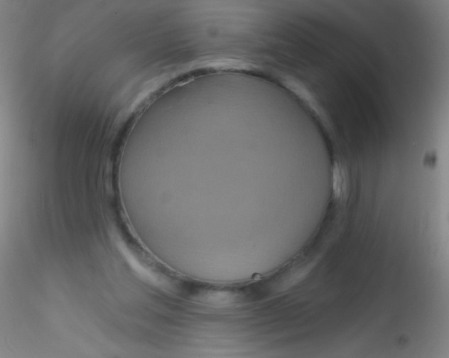 X0000115200205200911251451
