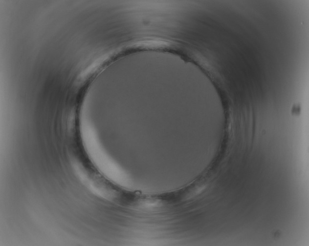 X0000115200206200911251451