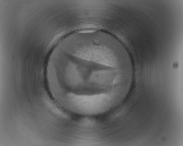 X0000115200207200911251451