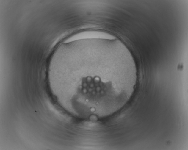 X0000115200208200911251451
