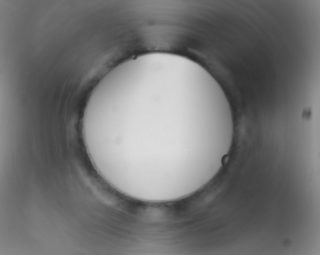 X0000115200209200911251451