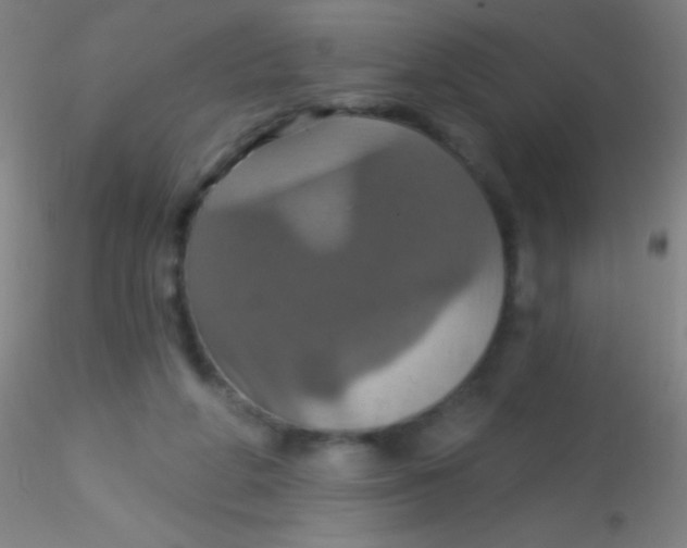 X0000115200210200911251451