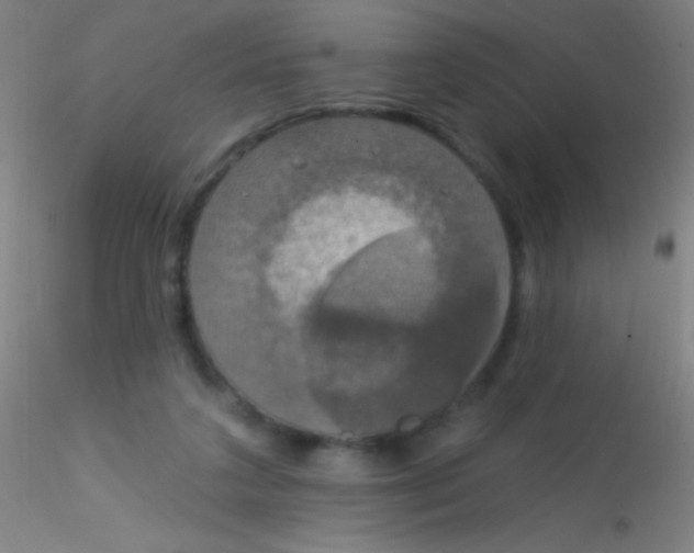 X0000115200211200911251451