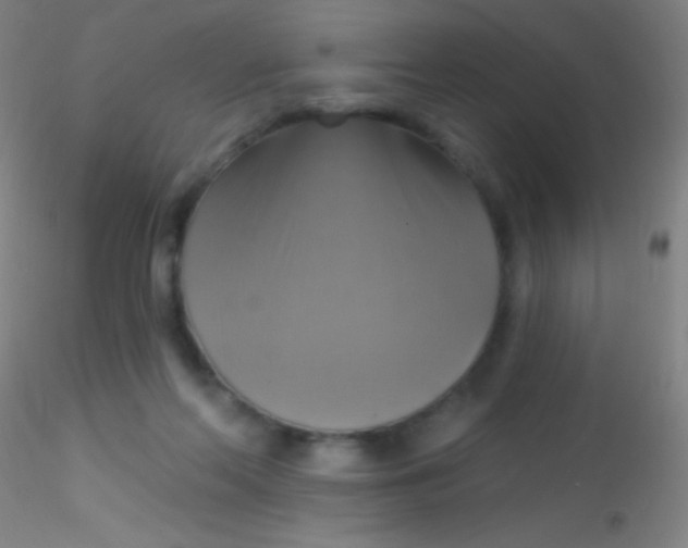 X0000115200214200911251451