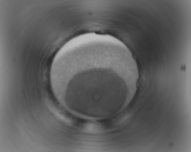 X0000115200215200911251451