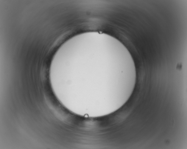 X0000115200216200911251451