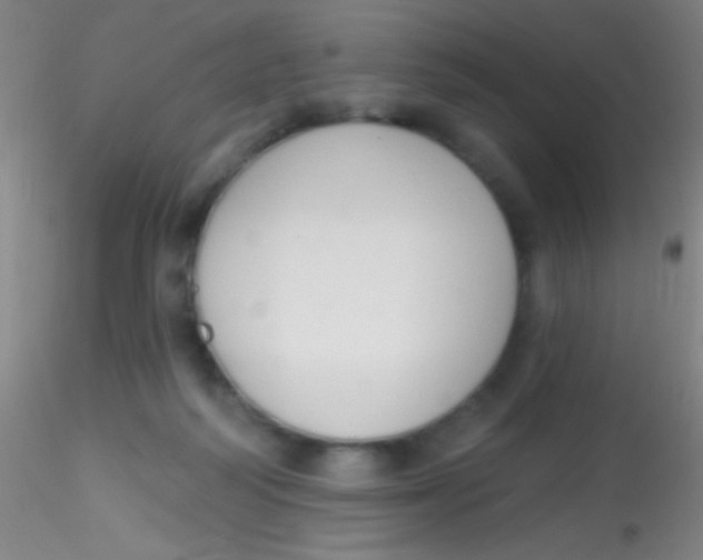 X0000115200218200911251451