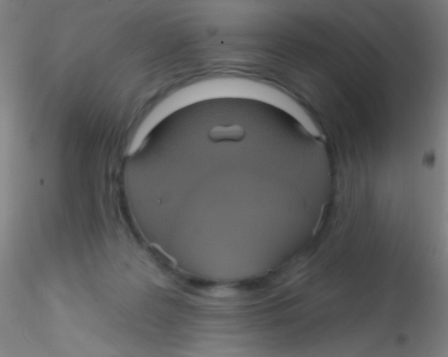 X0000115200219200911251451