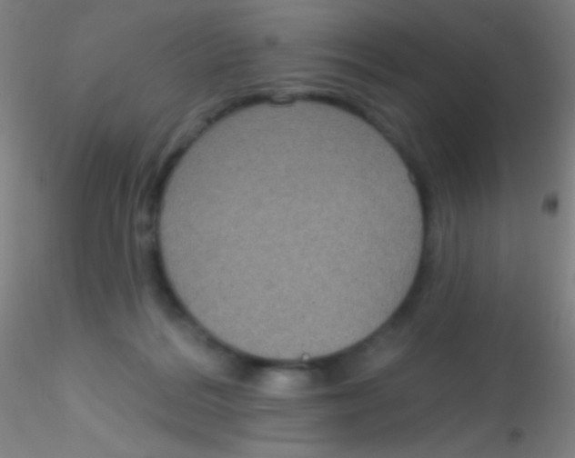 X0000115200220200911251451