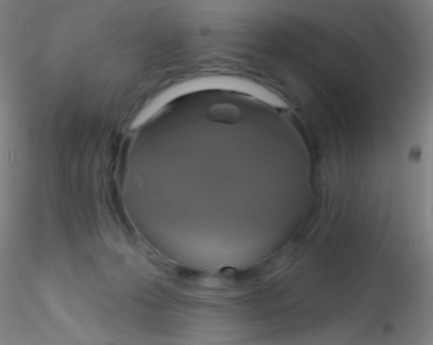 X0000115200223200911251451
