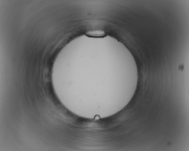 X0000115200224200911251451