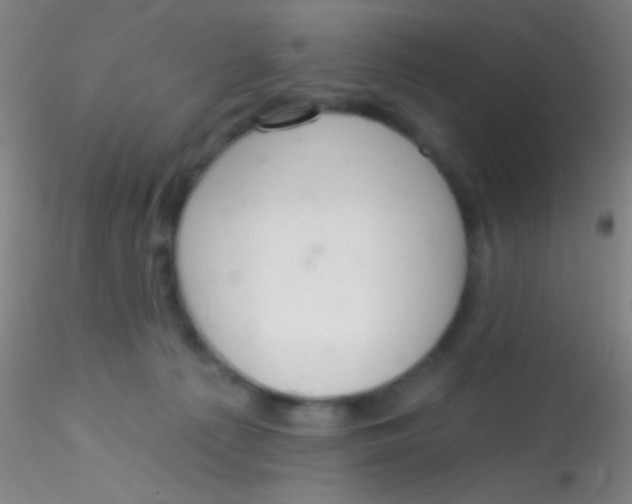 X0000115200225200911251451
