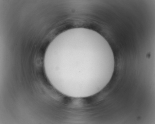 X0000115200226200911251451