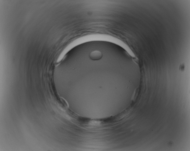 X0000115200227200911251451