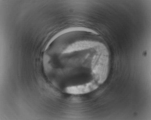 X0000115200228200911251451