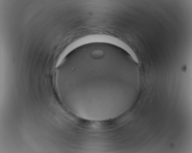 X0000115200229200911251451