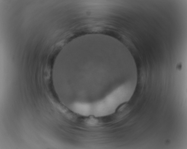 X0000115200230200911251451