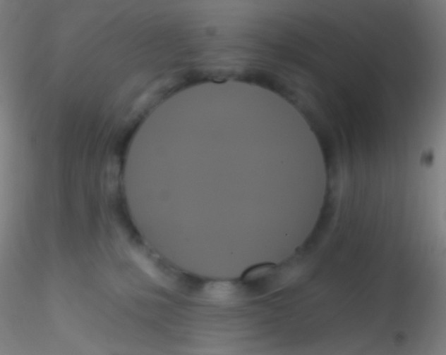 X0000115200231200911251451