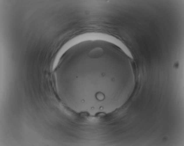X0000115200233200911251451