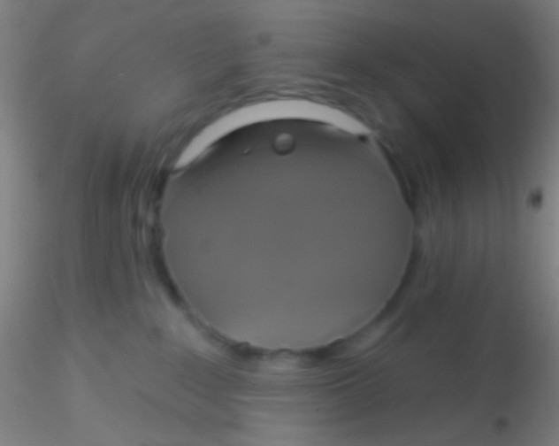 X0000115200235200911251451